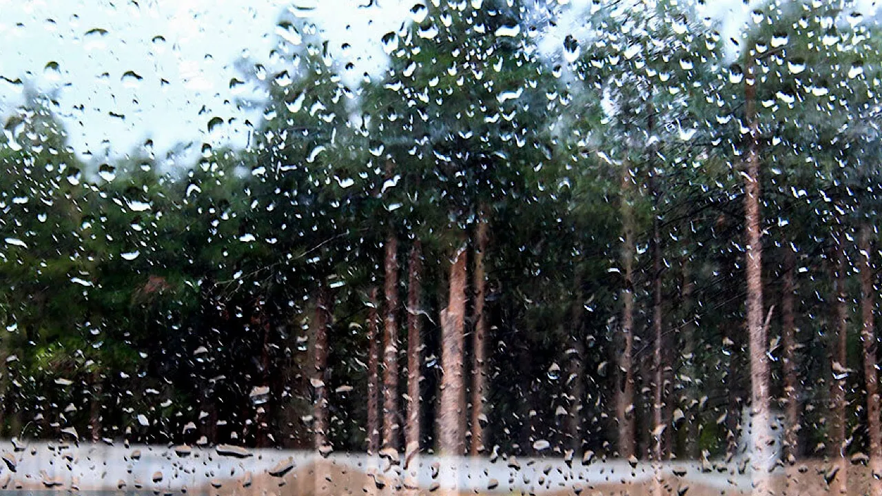سازمان هواشناسی 