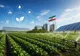 مصرف ۶ میلیارد مترمکعب گاز در کشاورزی؛ مسیر مهار ناترازی از مزرعه می‌گذرد؟