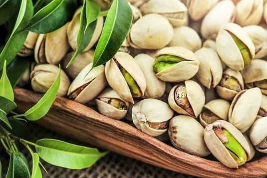 پیش&zwnj;بینی تولید ۲۱۰ هزار تن پسته خشک برای امسال